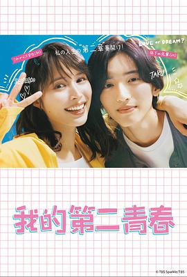 上海网络seo优化